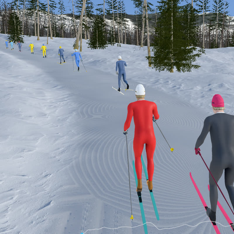 Skiers strung out up a groomed climb through spruce woods